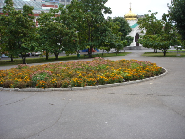 История со страховкой