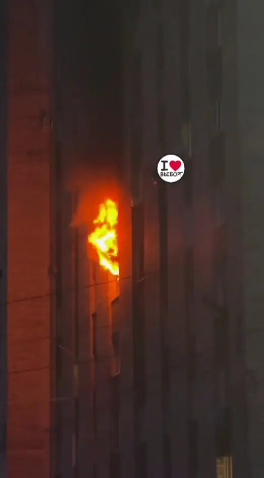    Фото: скриншот из видео телеграм-канала «Выборг Go».