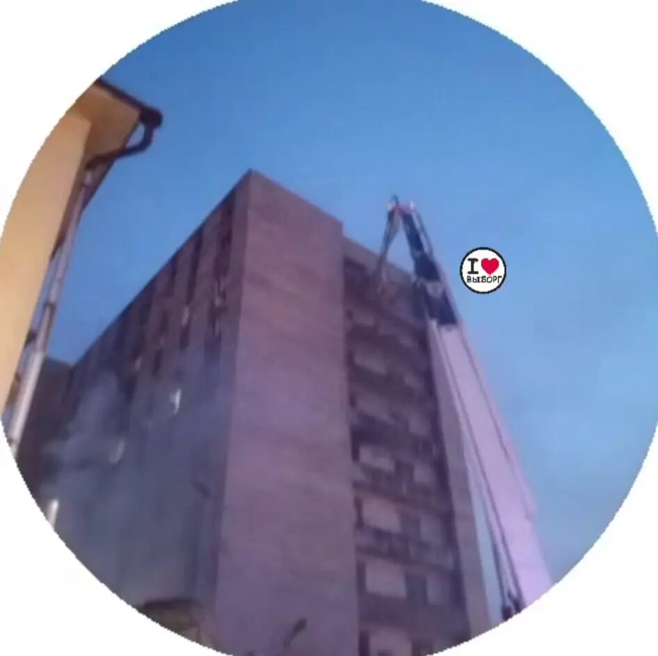    Фото: скриншот из видео телеграм-канала «Выборг Go».