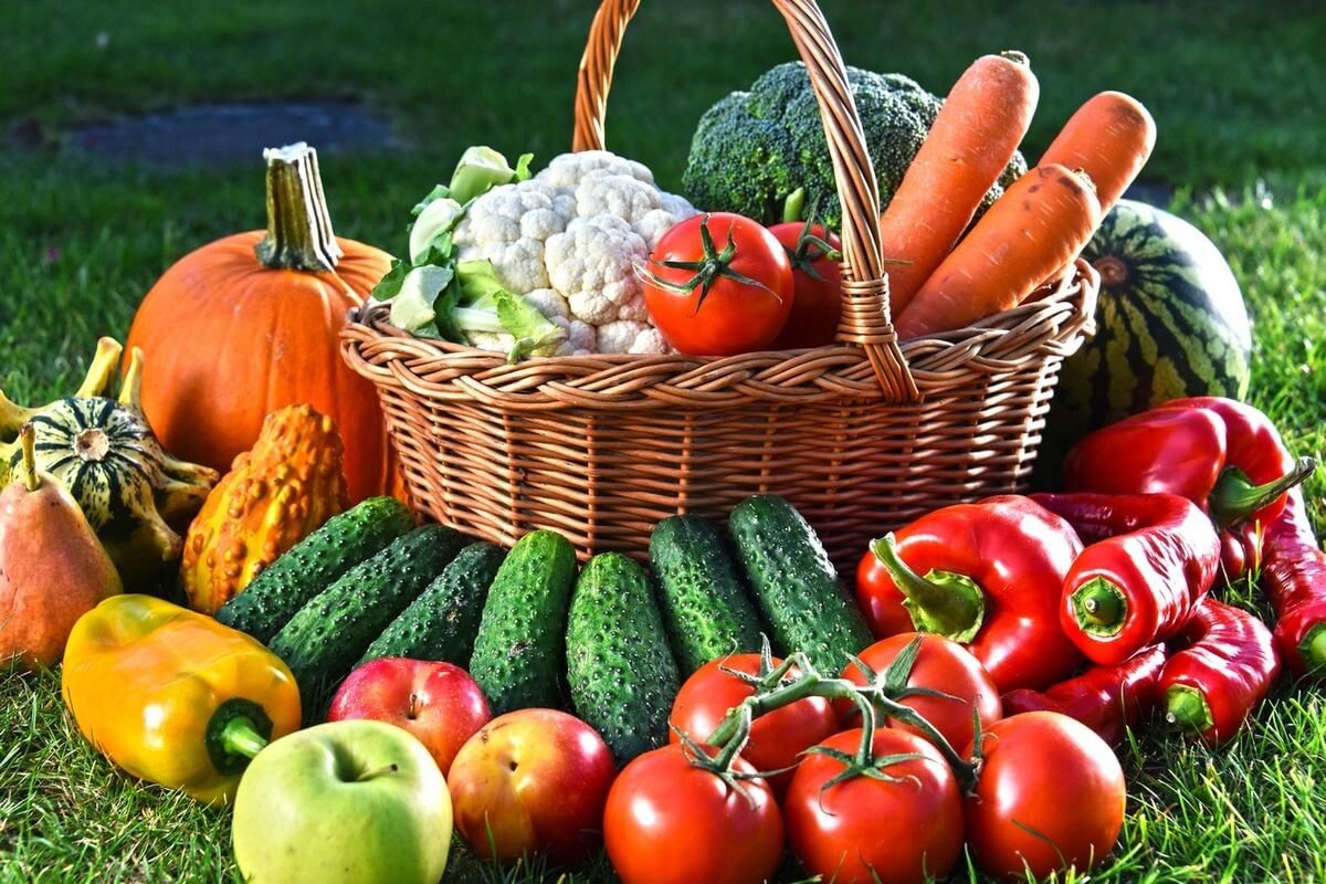 Богатый урожай