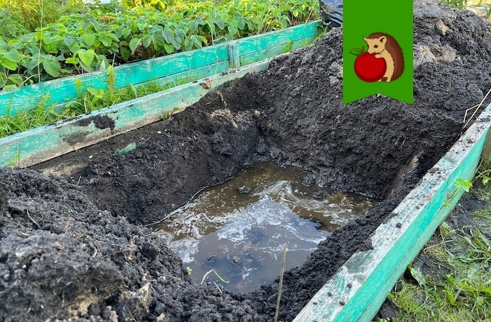 Потенциальная грядка для арбузов: летом перекопала, уложила нижним слоем компост, а дальше дождик постарался. Осталось дуги поставить!