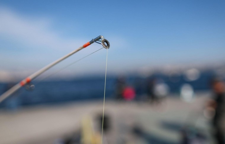    Алексей Белкин/NEWS.ru