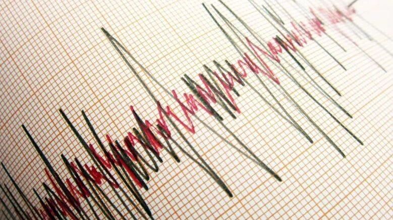    Фото: menur/Shutterstock/Fotodom