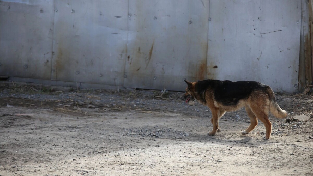     Источник: 1MI