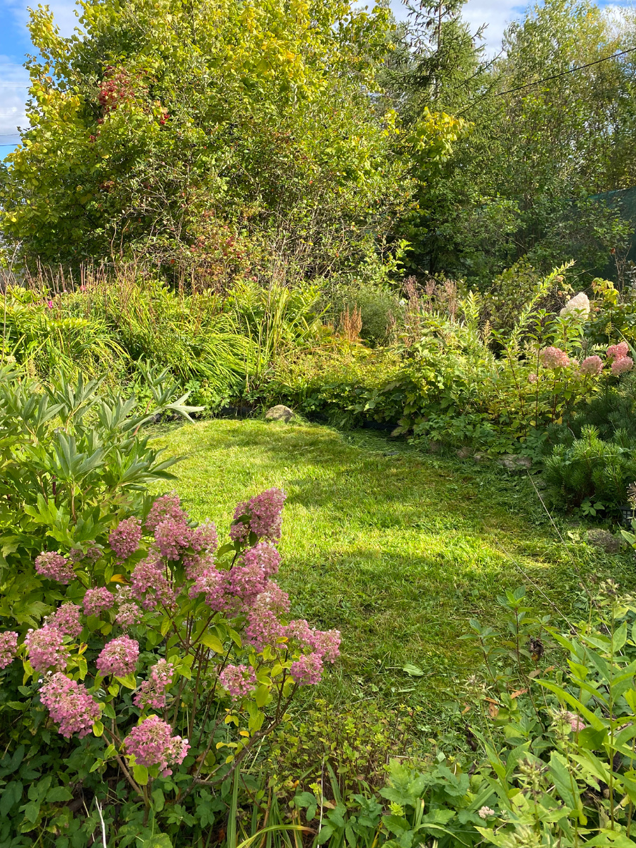 Японский садик 