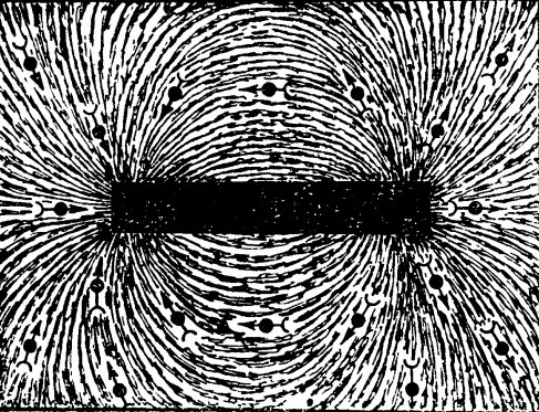 Рис. 2. Железные опилки в магнитном поле.