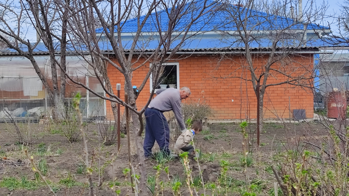 Женя дедушке помогает ы огороде