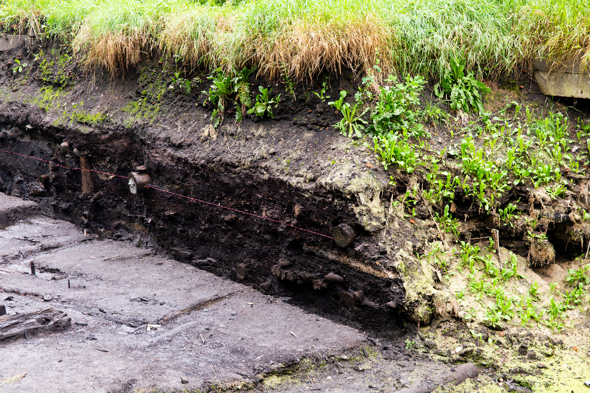 Старая Русса, ул. Минеральная, 63 - Пятницкий раскоп