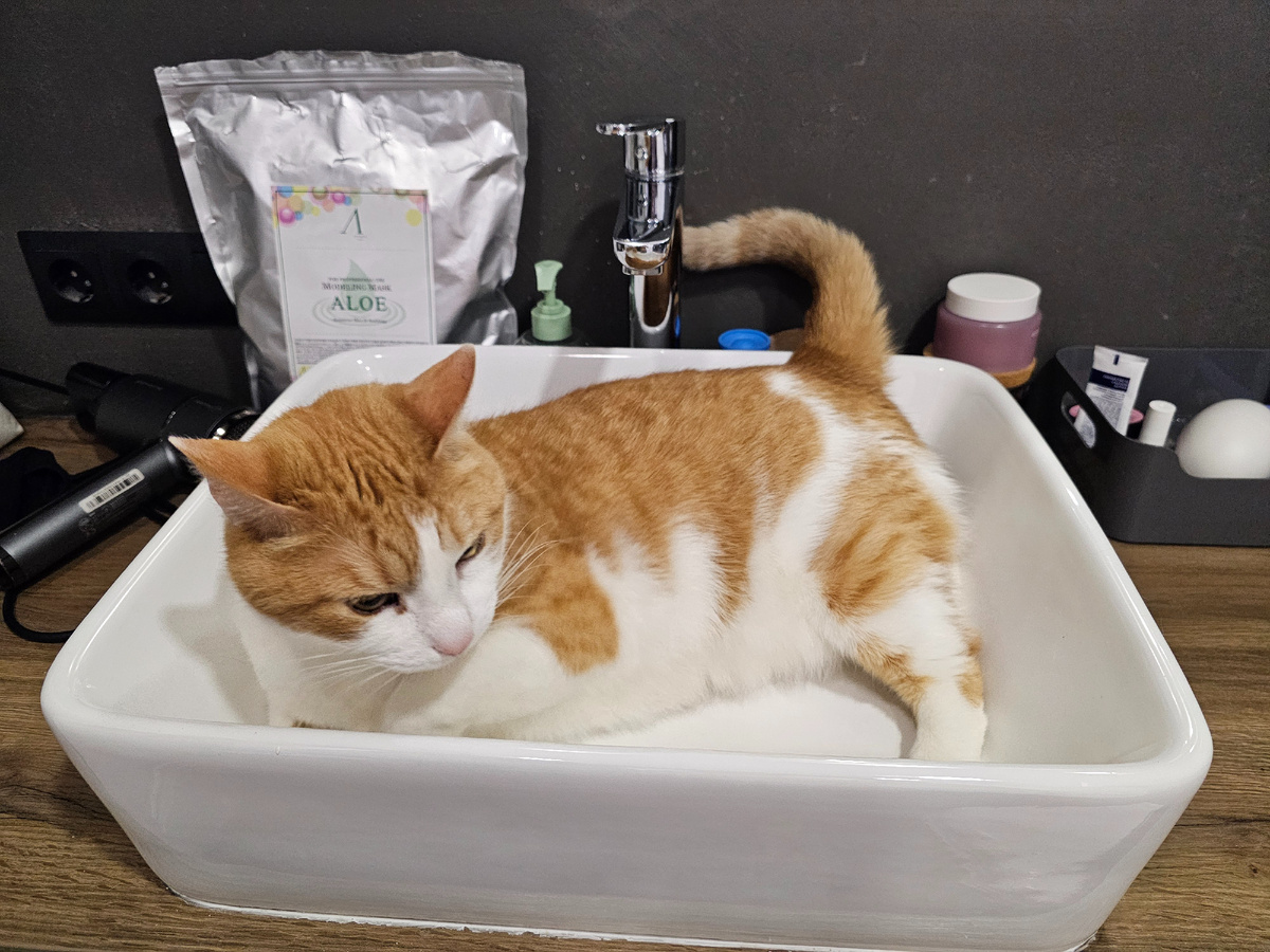 Очень срочно нужно пить и орать с утра пораньше😅