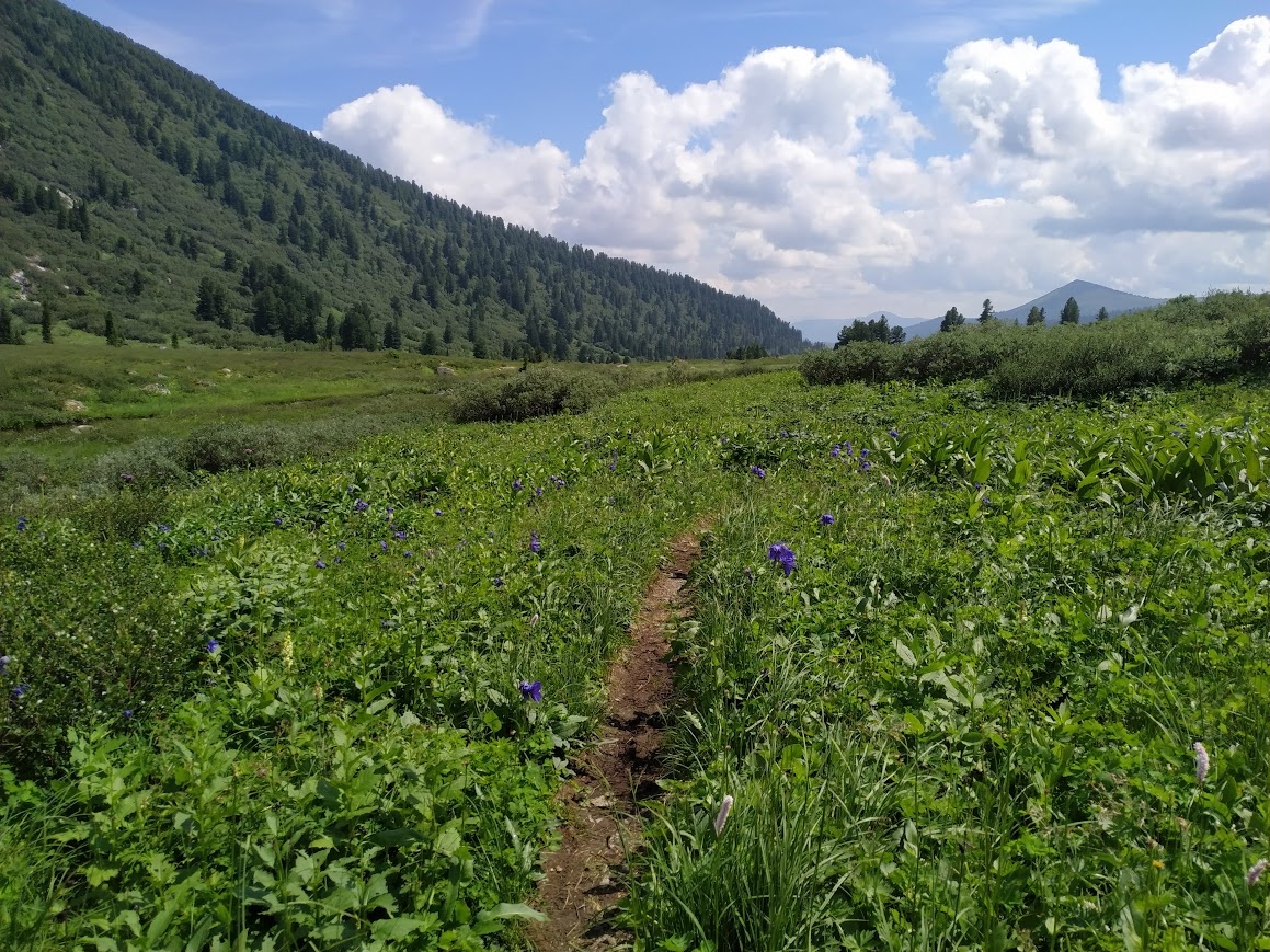 Земля Инь - плодородная, цветущая, принимающая и дающая урожай.