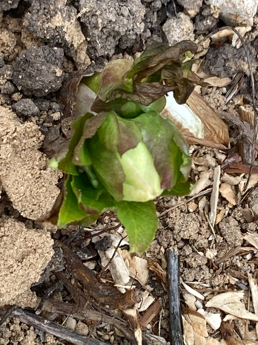 29.03.2025, фото автора