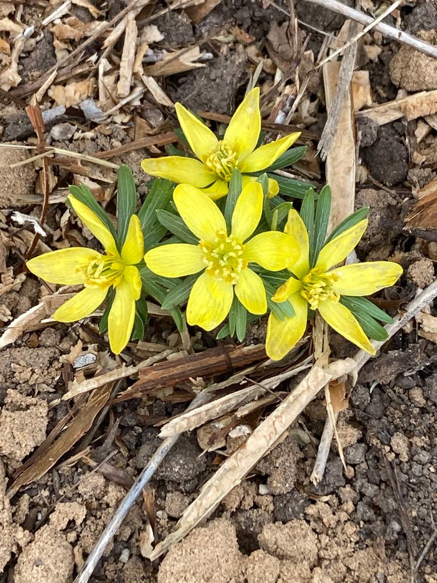 29.03.2025, фото автора