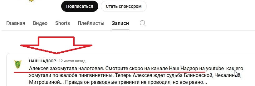 Запись на канале "Наш надзор" о возможных претензиях к правозащитнику со стороны налоговой