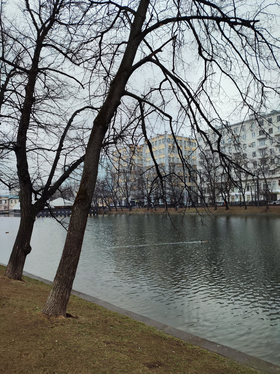 Вдоль Чистых прудов, мимо театра «Современник» проходил мой путь в компартию. Хотелось бы видеть в этом символы. 