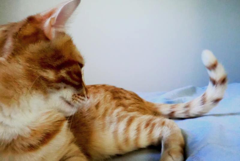 Фото из Интернета.