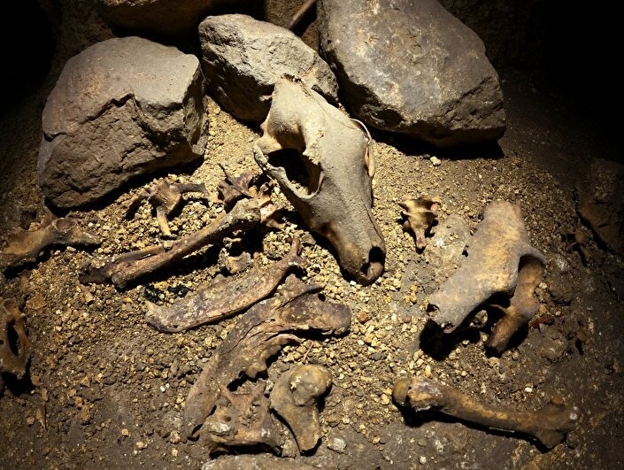 Помимо костей находили предметы, орудия труда и украшения. (Фото: img.piri.net).