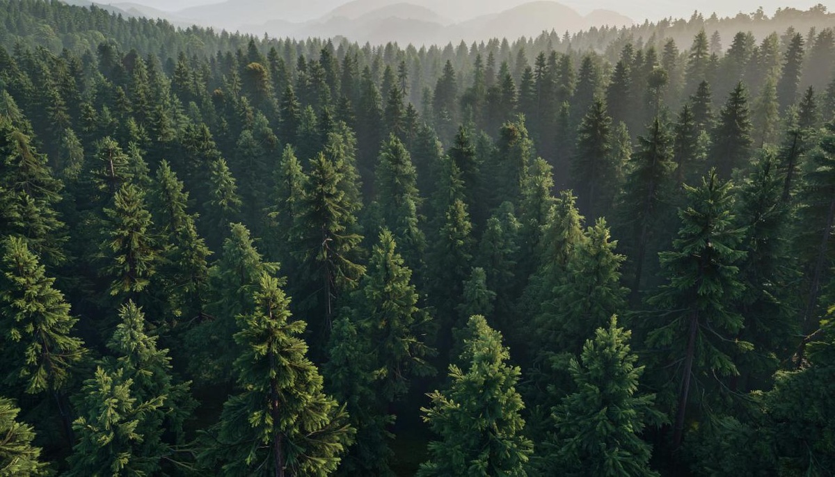 Вот так себя ощущают люди  с сильным элементом людей в карте