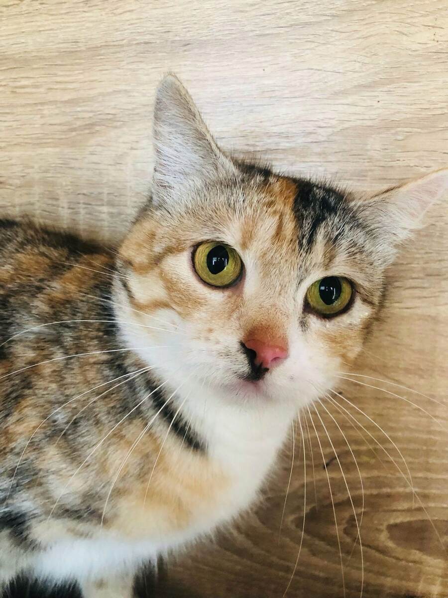 Тут все очень красивые!