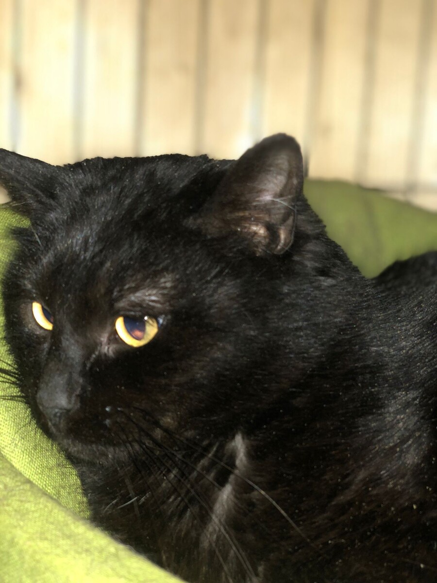 Помогите им пожалуйста!