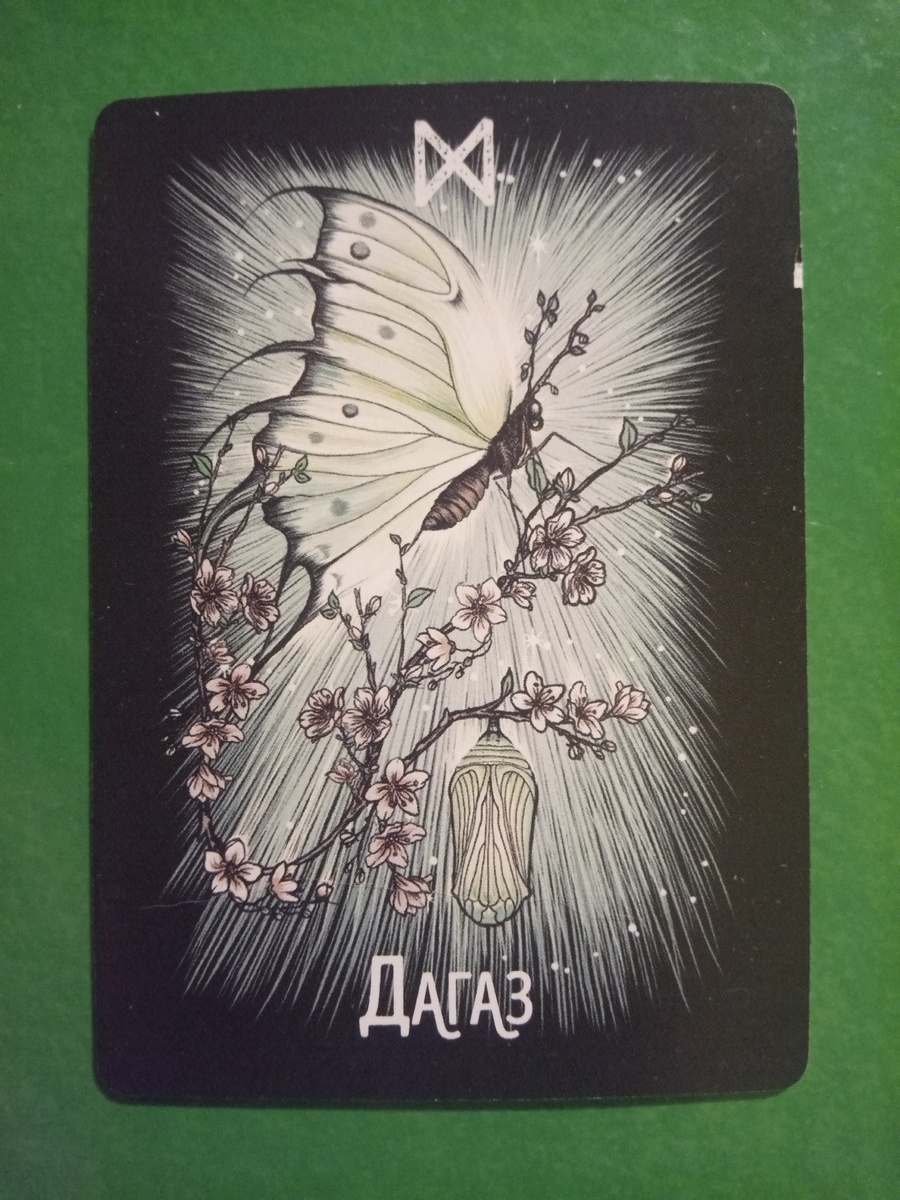 Дагаз-Бабочка, колода «Фамильяры Ведьмы»