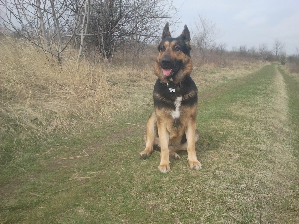 Фото автора