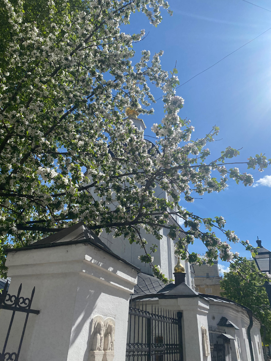 Церковь Вознесения Господня.