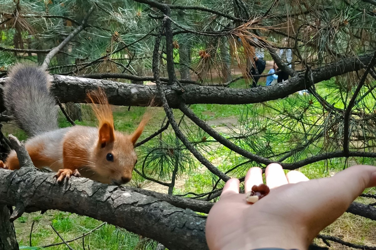 Фото: Vlad Panov on Unsplash