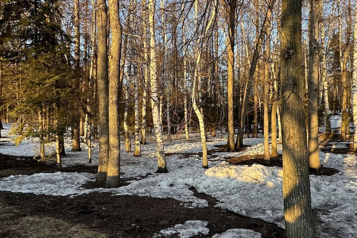 Фото: UfaTime.ru