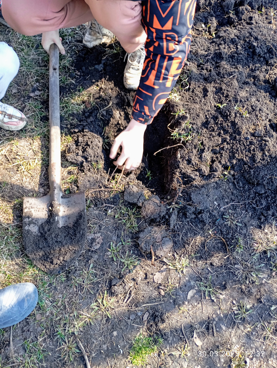 Взяли главный инструмент кладоискателей😂