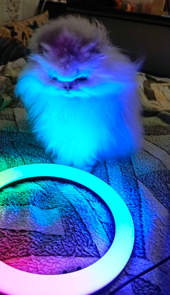 Фото из личного архива