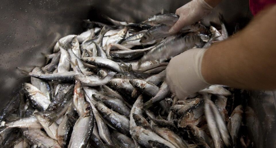    JONATHAN HAYWARD/ CP / www.globallookpress.com