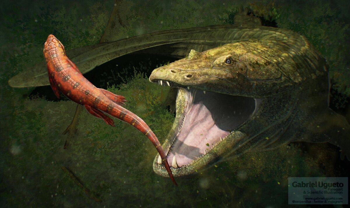 Изображение крупным планом.