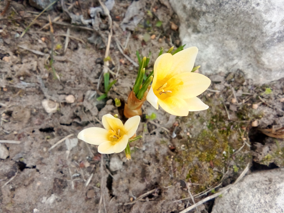 В статье все фото авторские