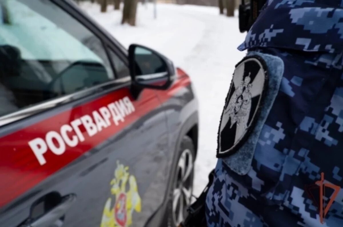    Росгвардия нейтрализовала мужчину, открывшего стрельбу в Мурманске