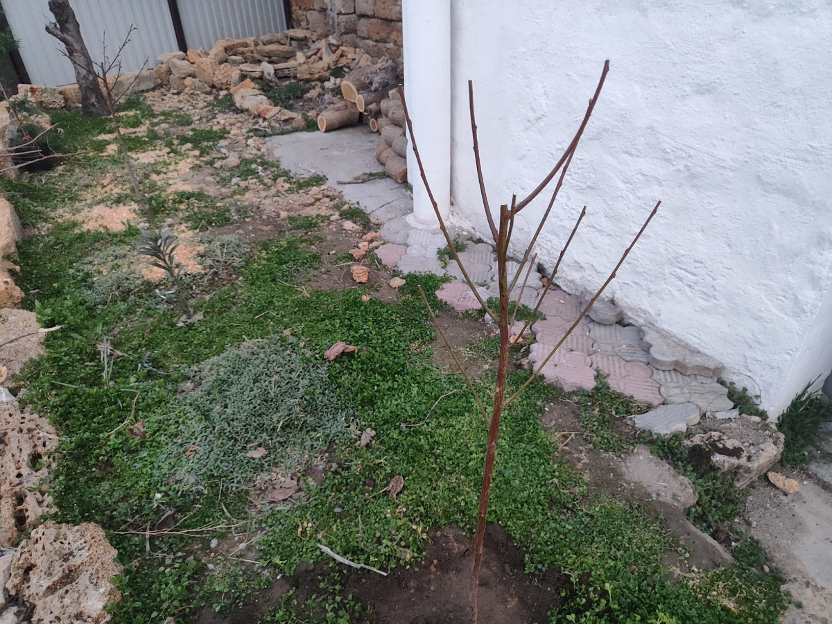 стало вот так за зиму 