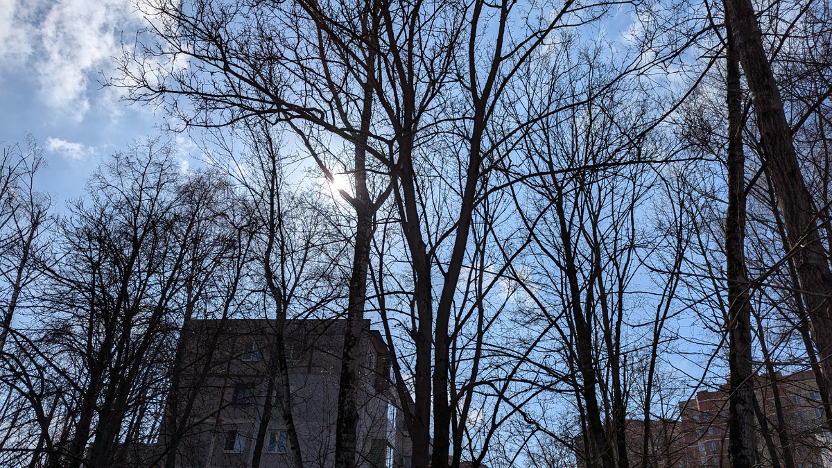 Голубое небо 