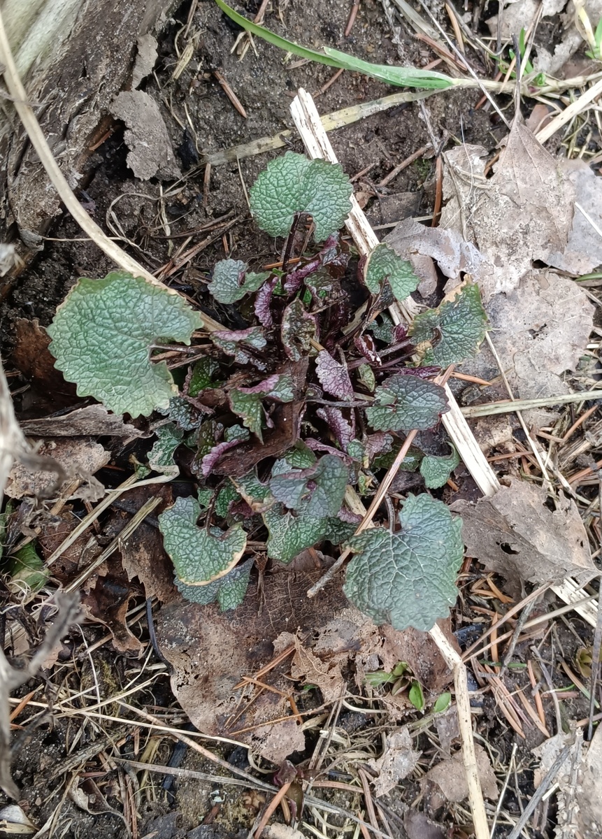 Фото из архива автора