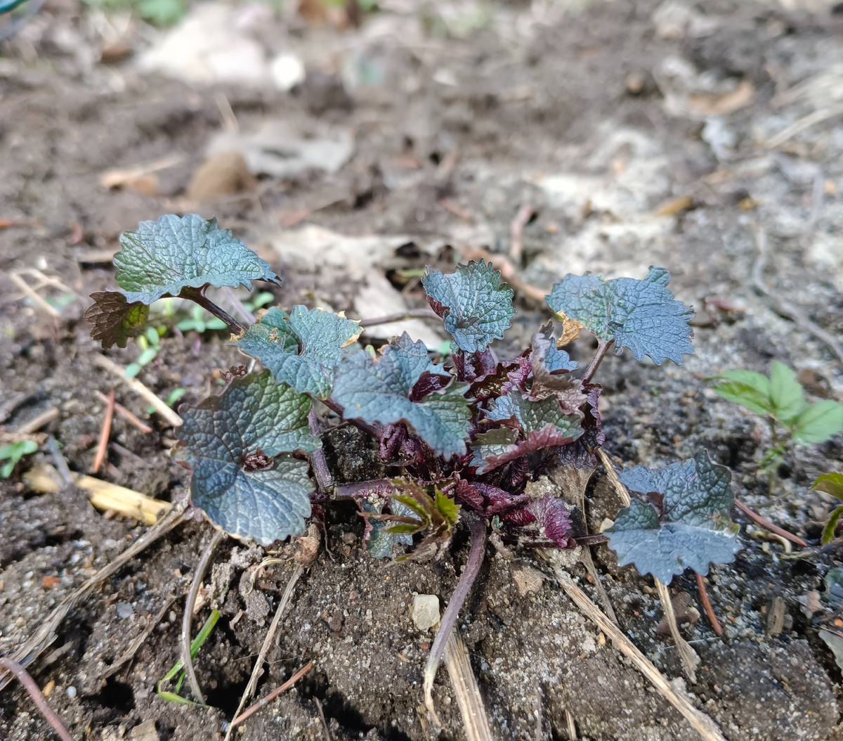 Фото из архива автора