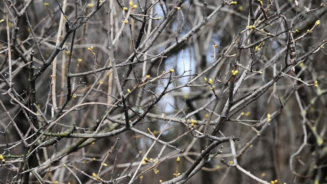    Фото: РИА Новости/Михаил Воскресенский