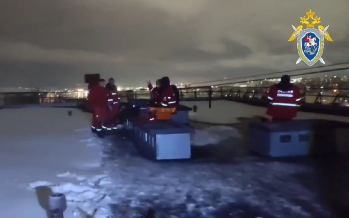     / Источник: © СК России. Кадр из видео