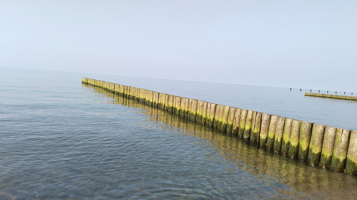 Светлогорск 