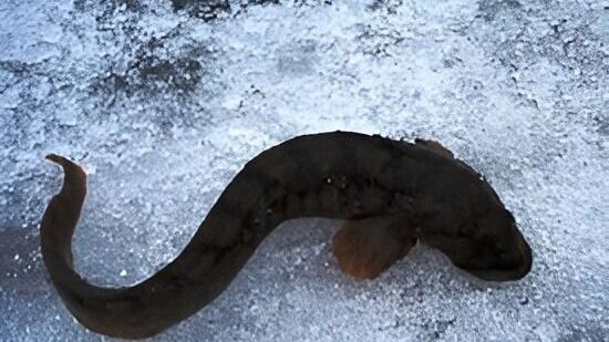     Источник: unsplash.com