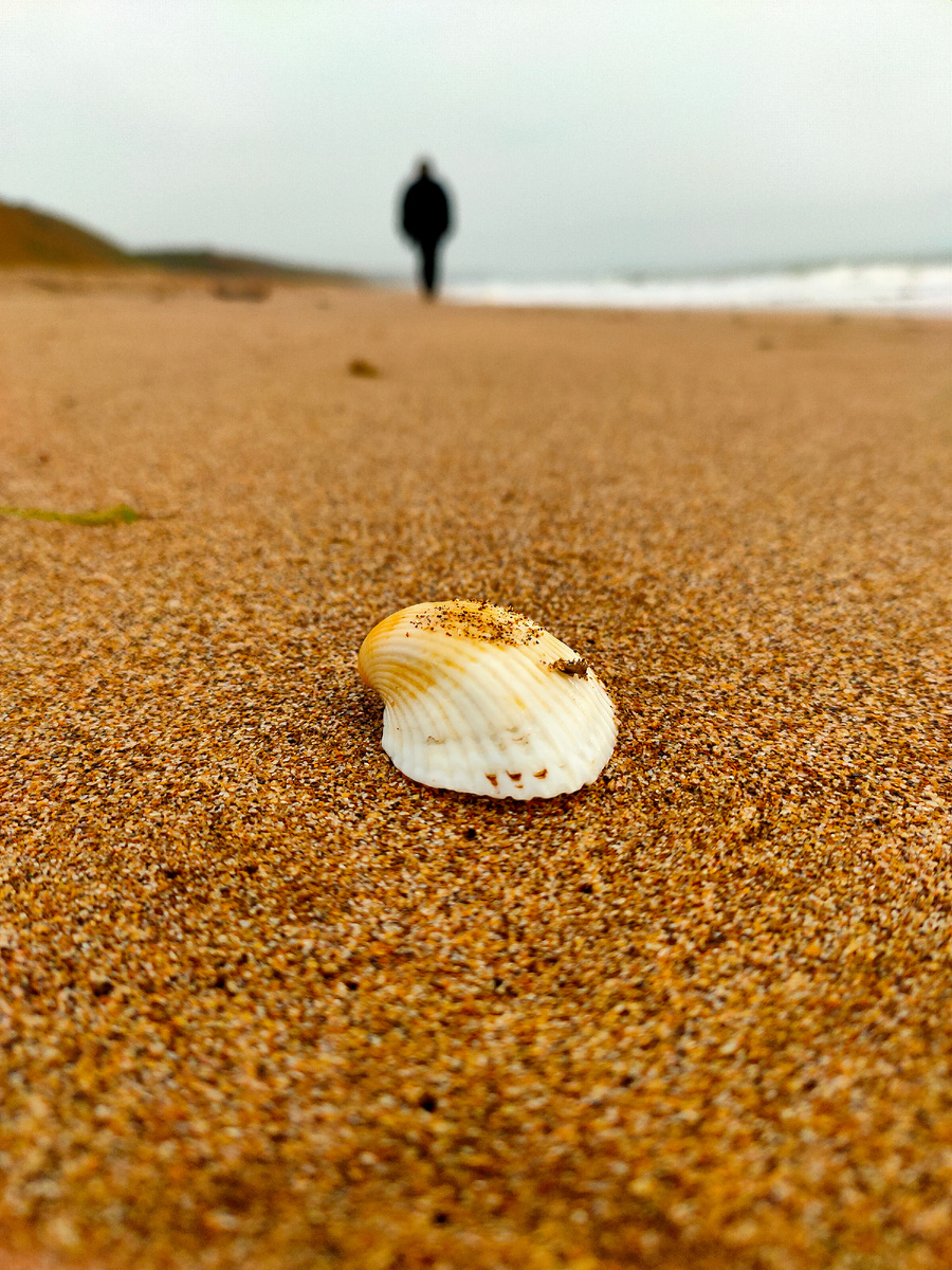 "Уходя, уходи..."