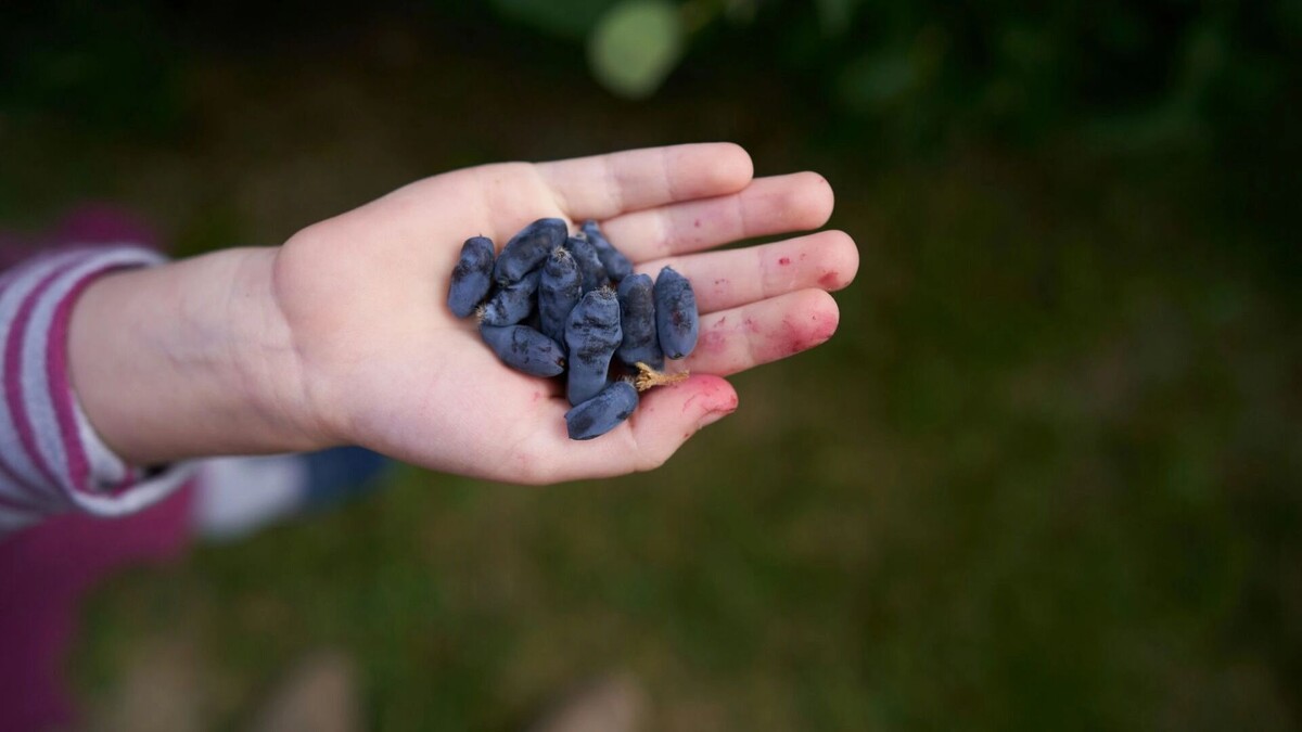     Источник: unsplash.com