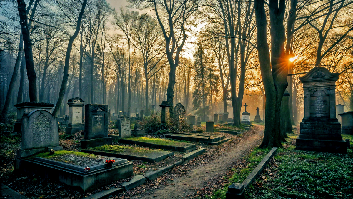 Тайны Еврейского кладбища Петербурга: от портного императора до воров в законе 🕯️