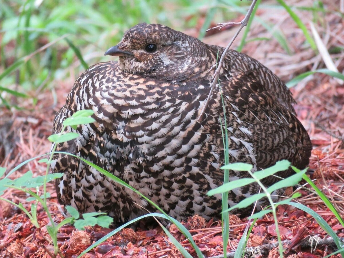     Источник: unsplash.com