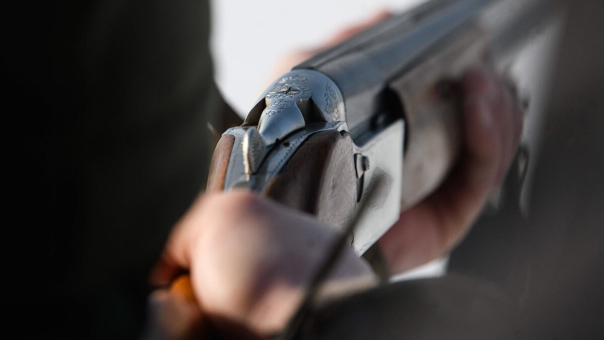    Фото: Ilya Moskovets/globallookpress.com