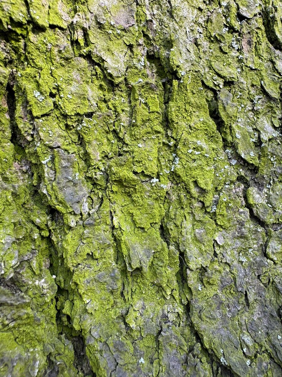 Фотоотчет от меня 📸