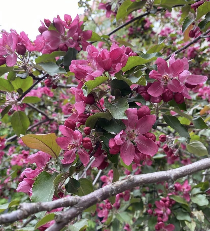 Фотография из личного архива. 