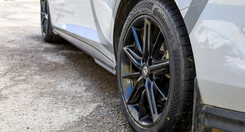    Elena Mayorova / www.globallookpress.com